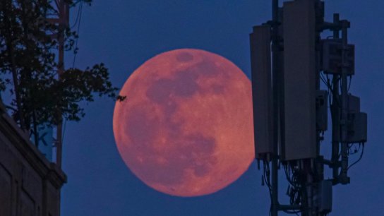 عشاق الفلك على موعد الليلة مع قمر القندس العملاق: أكبر وأسطع بدر لعام 2025!