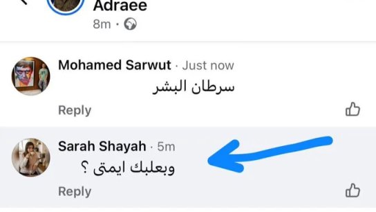 فصل موظفة لبنانية من عملها بعد تعليق على منشور لأدرعي: "بعلبك إيمتى؟"