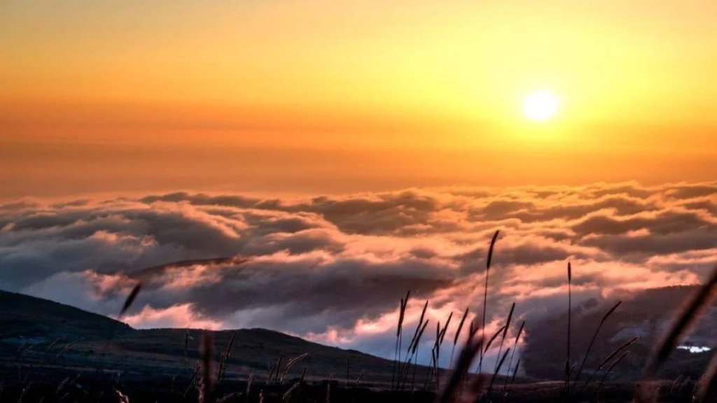 خبر سيئ لمحبي الشتاء: الحرارة تلامس الـ 30 درجة!