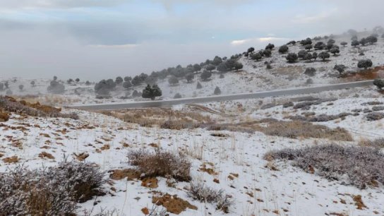 للمرة الأولى هذا العام... الثلوج تُكلّل مرتفعات الضنية على ارتفاع 1900 متر!