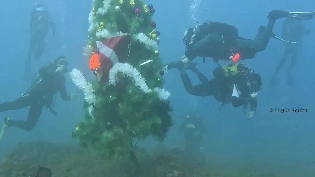 شجرة الميلاد في مغارة على عمق ٣٠ مترًا في البحر قبالة شاطئ العقيبة