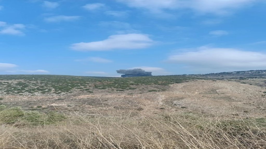 بالفيديو/ سلسلة غارات إسرائيلية استهدفت بلدة بصليا 