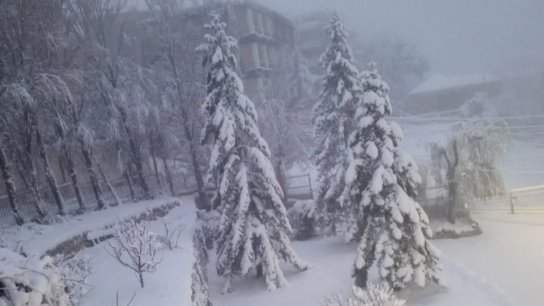 الثلوج تلامس الـ900 م اليوم...العاصفة تنحسر غداً ولكن موجة من الصقيع تسيطر!