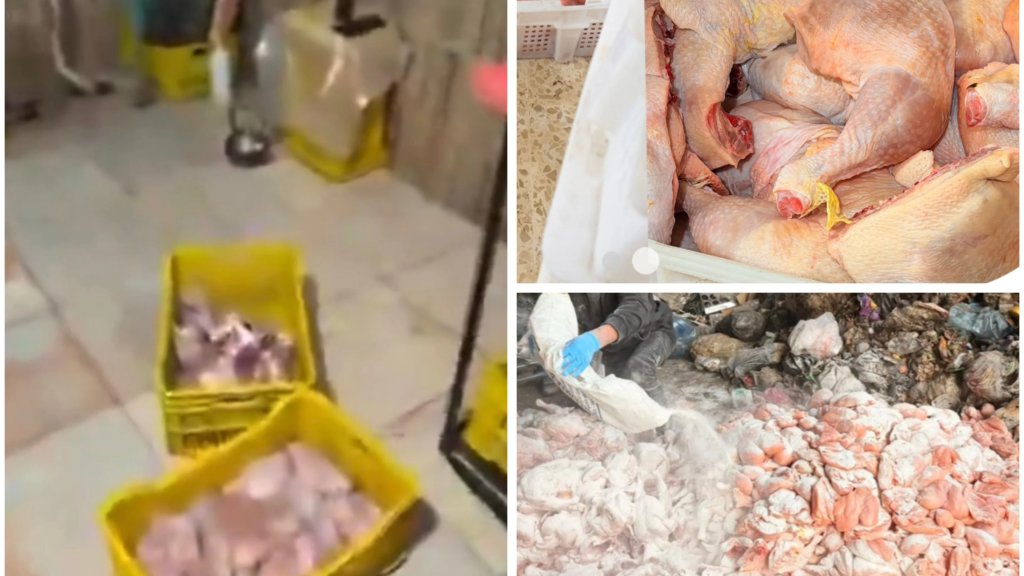 الفضائح الغذائية مستمرة.. قوى الأمن تضبط مستودعَي دجاج مخالفَين لشروط السّلامة الغذائيّة في سعدنايل وتوقِف عشرة أشخاص!  