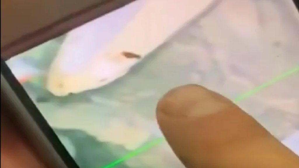 العثور على مكان تواجد الشابة اليسار المير تحت ركام المبنى في القبة