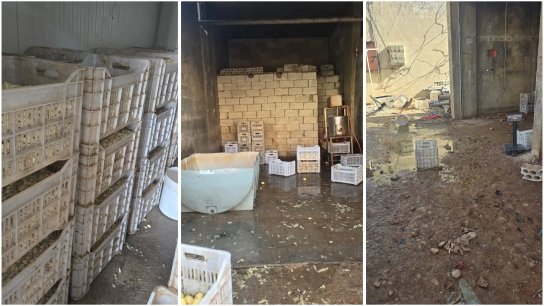 فضيحة غذائية جديدة..  ضبط أكثر من 20 طناً من الثوم الفاسد وغير الصالح للاستهلاك البشري في مستودع لا يستوفي أدنى معايير السلامة الغذائية!