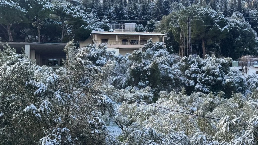 للمرة الأولى هذه السنة: الثلوج لامست الـ 500 متر في عكار !❄️ 