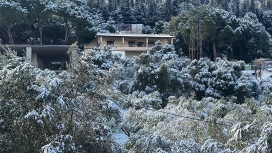 للمرة الأولى هذه السنة: الثلوج لامست الـ 500 متر في عكار !❄️ 