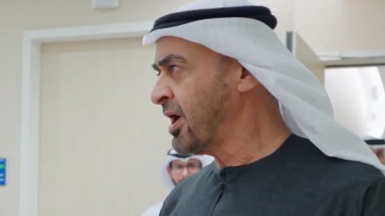 الرئيس الإماراتيّ في رسالة لـ"عدو الإمارات": الإمارات جلدها غليظ ولحمها مرُّ لا يؤكل