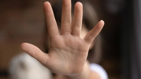 جريمة بشعة: توقيف سوريّين (مواليد 2000 و2009) لتورطهما بإغتصاب طفلة سورية (12 عامًا) بعد تخديرها