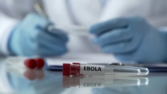 منظمة الصحة العالمية: قلق بالغ جراء سرعة انتشار فيروس "إيبولا"