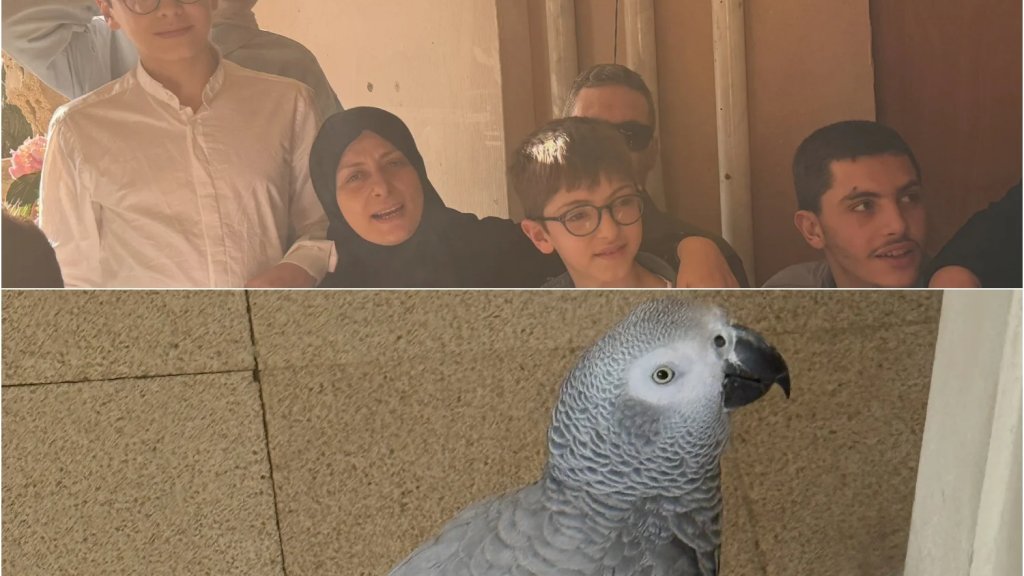 حتى الببغاء "كوكو" لم يسلم من مجزرة انصار